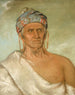 Laylwshekaw remontant la rivière, un vieux chef - George Catlin — artwork view