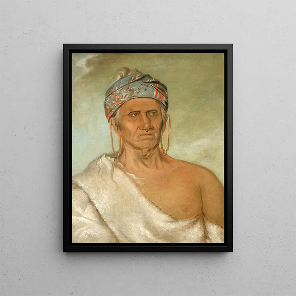 Laylwshekaw remontant la rivière, un vieux chef - George Catlin — framed artwork on a wall
