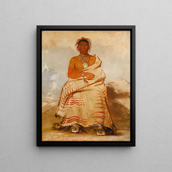 Lharetarrshe Illnatured Man un Skidi Wolf Pawnee - George Catlin — framed artwork on a wall