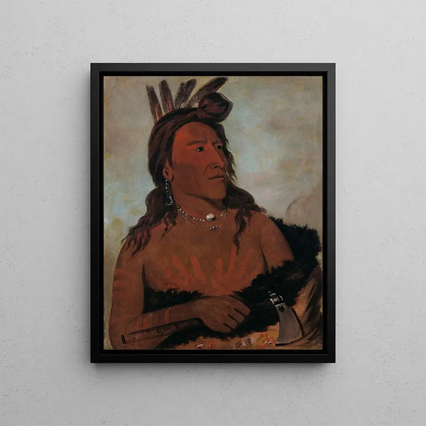 Mah-tche-ga Little Bear a Hunkpapa Brave - George Catlin — framed artwork on a wall