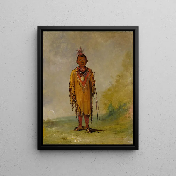 Me-su-wahk Deer's Hair Fils préféré de Kee-ok-k - George Catlin — framed artwork on a wall