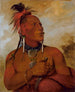 Meach-o-shn-gaw Little White Bear, a distinguished brave - George Catlin — artwork view
