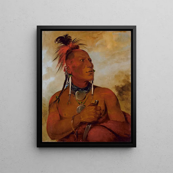 Meach-o-shn-gaw Little White Bear, a distinguished brave - George Catlin — framed artwork on a wall