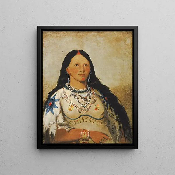 Mi-ne-kee-snk-te-ka Mink une belle fille - George Catlin — framed artwork on a wall