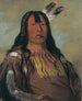 Mix-ke-mte-skin-na Iron Horn un guerrier - George Catlin — artwork view