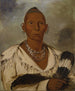 Mk-a-tah-mish-o-khaik Black Hawk, leader of the bag - George Catlin — artwork view