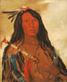 Nhee-ee-wo-tis Loup sur la colline Chef de la tribu - George Catlin — artwork view