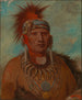 Neu-mon-ya Walking Rain War Chief - George Catlin — artwork view
