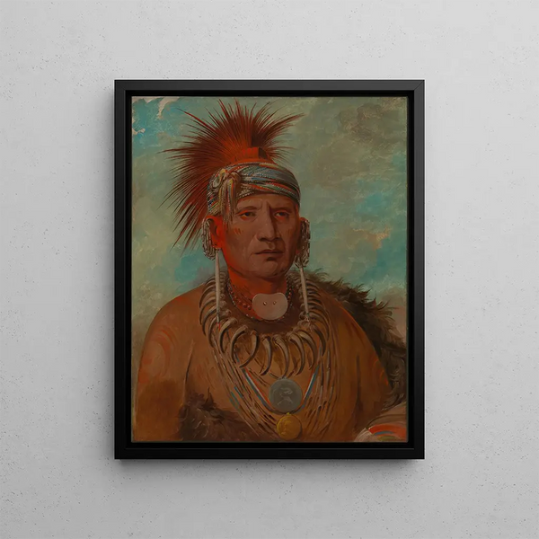 Neu-mon-ya Walking Rain War Chief - George Catlin — framed artwork on a wall