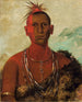 Nh-ses-kuk Whirling Thunder, eldest son of Black Hawk - George Catlin — artwork view