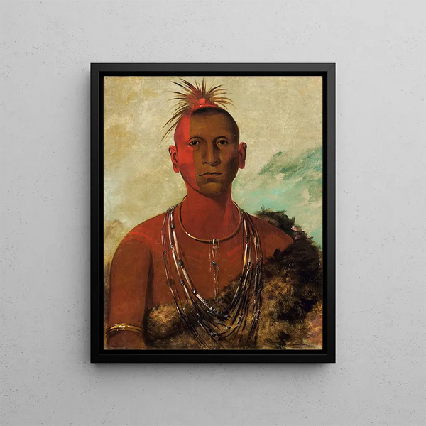 Nh-ses-kuk Whirling Thunder, eldest son of Black Hawk - George Catlin — framed artwork on a wall
