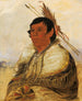 Ni-a-c-mo Fix with the foot of a brave - George Catlin — artwork view