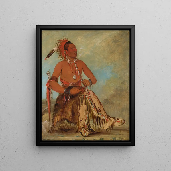 Nm-ba-mon-nee Double Walker un Brave - George Catlin — framed artwork on a wall