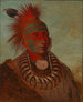 No-ho-mun-ya The one who pays no attention - George Catlin — artwork view