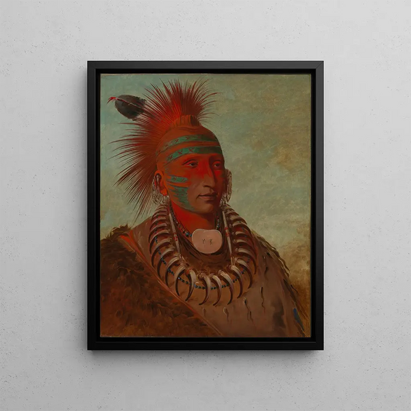 No-ho-mun-ya The one who pays no attention - George Catlin — framed artwork on a wall