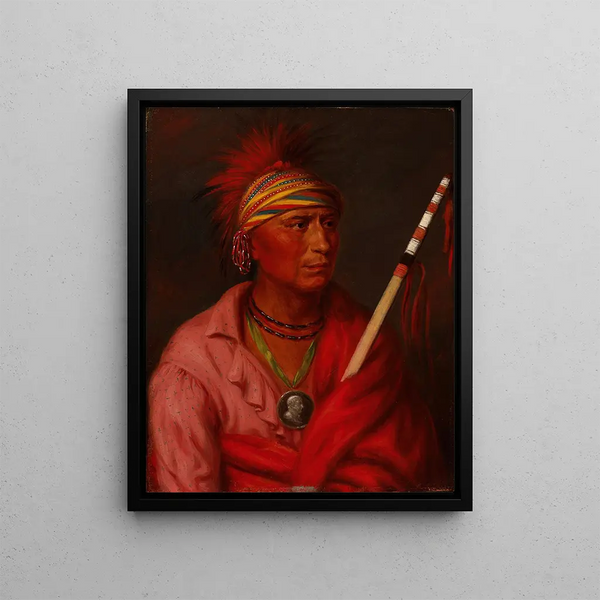 Pas de cœur Nan-che-ning-ga - George Catlin — framed artwork on a wall