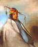 Nonondgon un chef - George Catlin — artwork view
