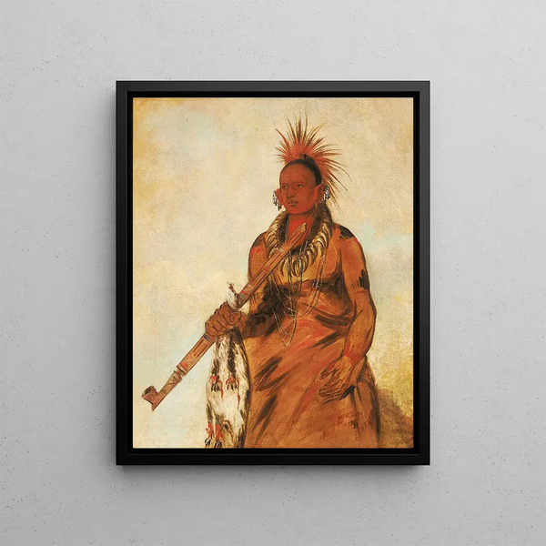 Noomnnee walking in the rain as a warrior - George Catlin — framed artwork on a wall