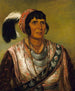 Osceol The Black Drink, a highly distinguished warrior - George Catlin — artwork view