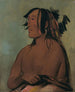 Paris-ka-ro-pa Two Crows The Young - George Catlin — artwork view