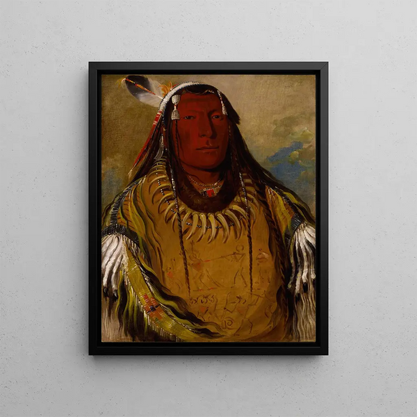 Paris-ka-ropa Two Crows a Chief - George Catlin — framed artwork on a wall