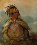 Pah-mee-cw-ee-tah L'homme qui traque un chef - George Catlin — artwork view