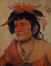 Pah-shee-nu-shaw, a warrior - George Catlin — artwork view