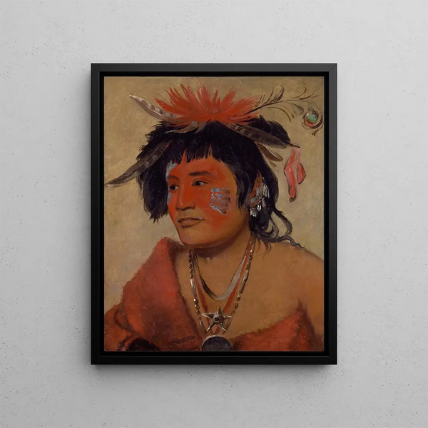 Pah-shee-nu-shaw, a warrior - George Catlin — framed artwork on a wall