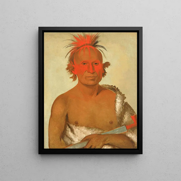 Pasheepah Little Stabbing Chief, the youngest of the Black Hawks Braves - George Catlin — framed artwork on a wall