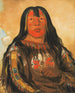 Peh-Tä-Pe-Kiss Eagles faces a Piegan chief - George Catlin — artwork view