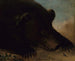 Portraits of a Grizzly Bear and a Mouse at Life Size - George Catlin — artwork view