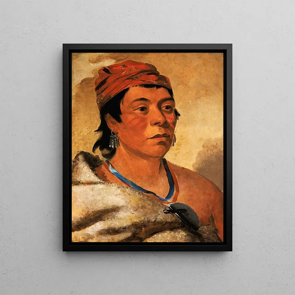 Round Island Painting, a warrior - George Catlin — framed artwork on a wall