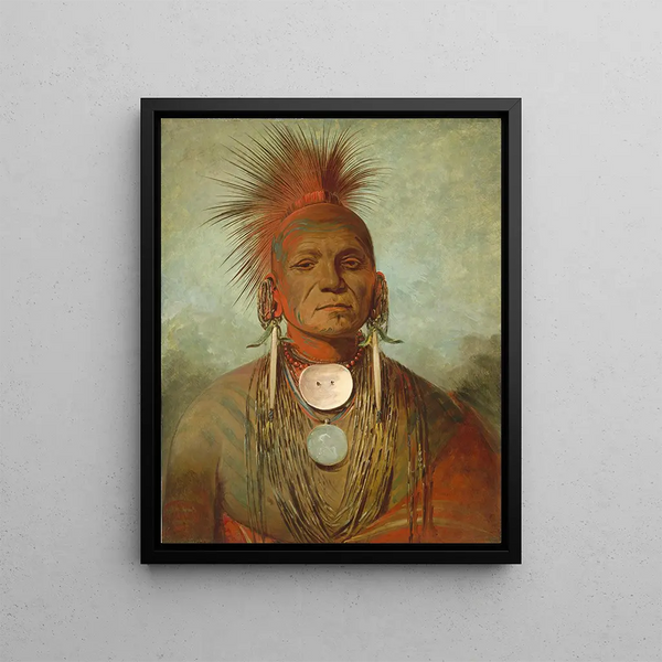 the Iowa man-medicine story - George Catlin — framed artwork on a wall