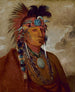 Sh-Me-Ks Voir le loup comme un chef - George Catlin — artwork view
