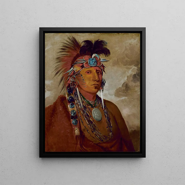 Sh-Me-Ks Voir le loup comme un chef - George Catlin — framed artwork on a wall