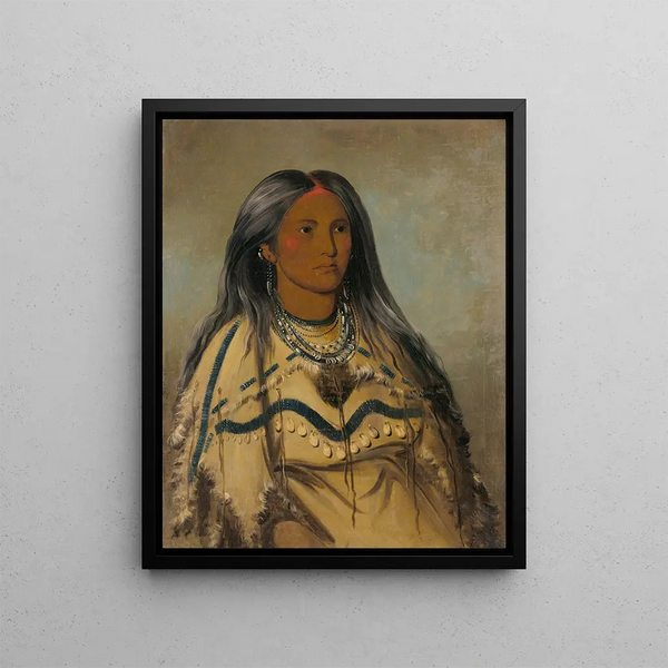 Sha-K-Ka Mint a pretty girl - George Catlin — framed artwork on a wall