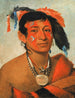 Sha-W-No The South, a recognized warrior - George Catlin — artwork view