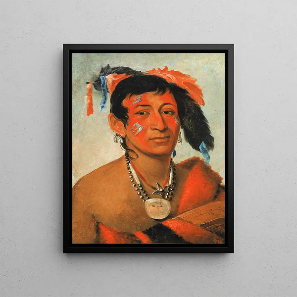 Sha-W-No The South, a recognized warrior - George Catlin — framed artwork on a wall