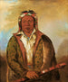 Shee-Nh-Wee - George Catlin — artwork view