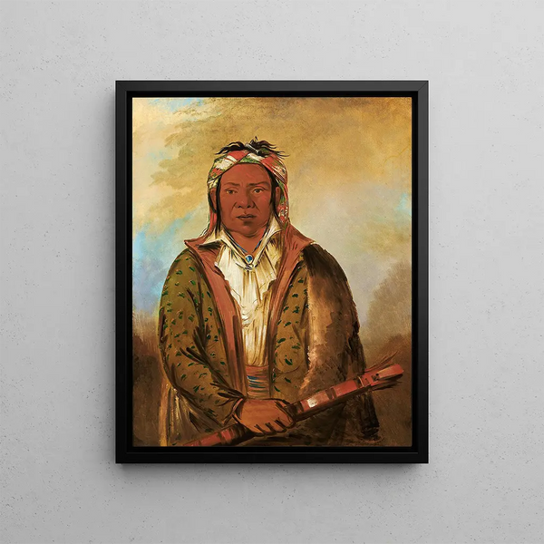Shee-Nh-Wee - George Catlin — framed artwork on a wall