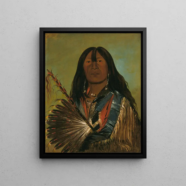 Shn-Ka, the canine chief of the group The Bad Arrow Points - George Catlin — framed artwork on a wall