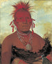 Chief of the Horses Shn-Ka-Ki-Hega Grand Chief of the Pawnee - George Catlin — artwork view