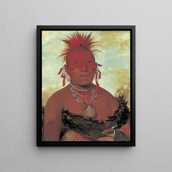 Chief of the Horses Shn-Ka-Ki-Hega Grand Chief of the Pawnee - George Catlin — framed artwork on a wall