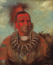 Shon-Ta-Yi-Ga Little Wolf, a famous warrior - George Catlin — artwork view