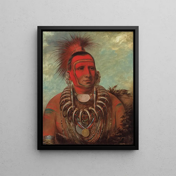 Shon-Ta-Yi-Ga Little Wolf, a famous warrior - George Catlin — framed artwork on a wall