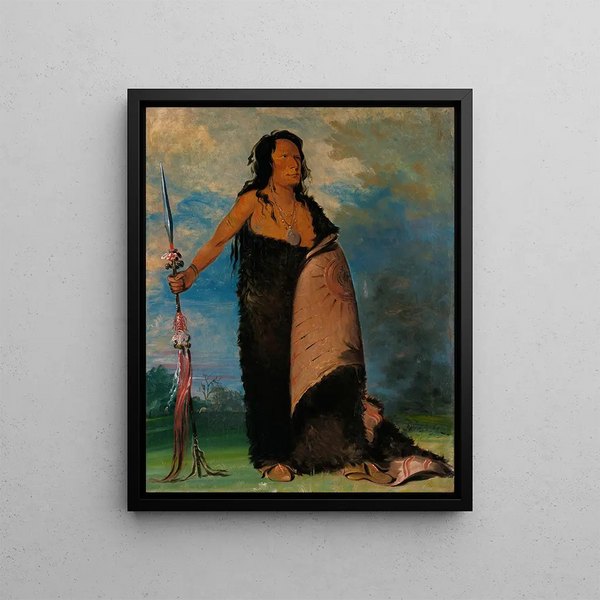 Shoo-De-G-Cha The tribe chief of the smoke signals - George Catlin — framed artwork on a wall