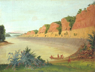 Côté sud de l'île Buffalo montrant des baies de buffle au premier plan - George Catlin — artwork view