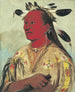 Stnaupat Main Sanglante Chef de la Tribu - George Catlin — artwork view