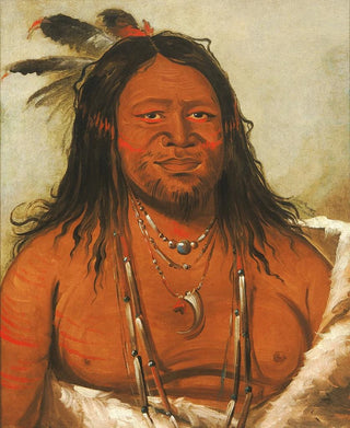 George Catlin - TaWhQueNah Mountain of Rocks Second Chief of The Tribe.webp