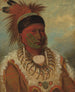 The White Cloud Chief of the Iowas - George Catlin — artwork view